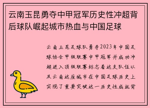 云南玉昆勇夺中甲冠军历史性冲超背后球队崛起城市热血与中国足球